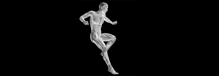Chiropractic Springfield VA Bioenergetic Testing Chiropractic Springfield VA Bioenergetic Testing